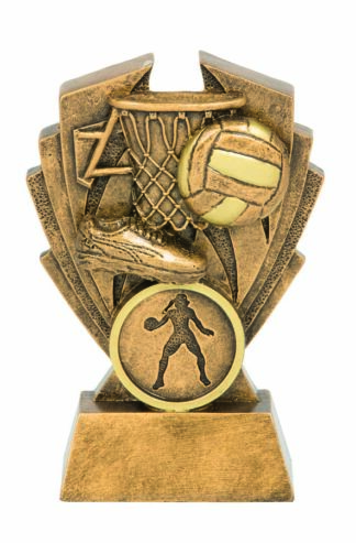 HAWK SERIES - NETBALL