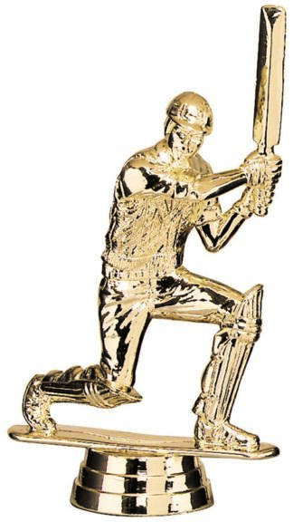 CRICKET - BATSMAN