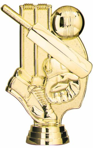 CRICKET - THEME - 25mm Insert