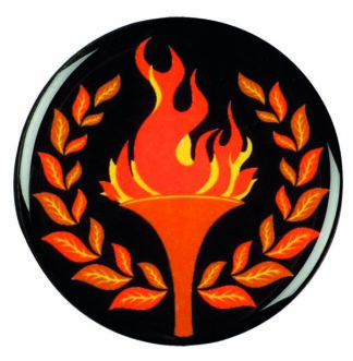 DX SERIES - VICTORY FLAME 2"/50mm Insert