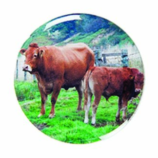 DX SERIES - COWS 2"/50mm Insert