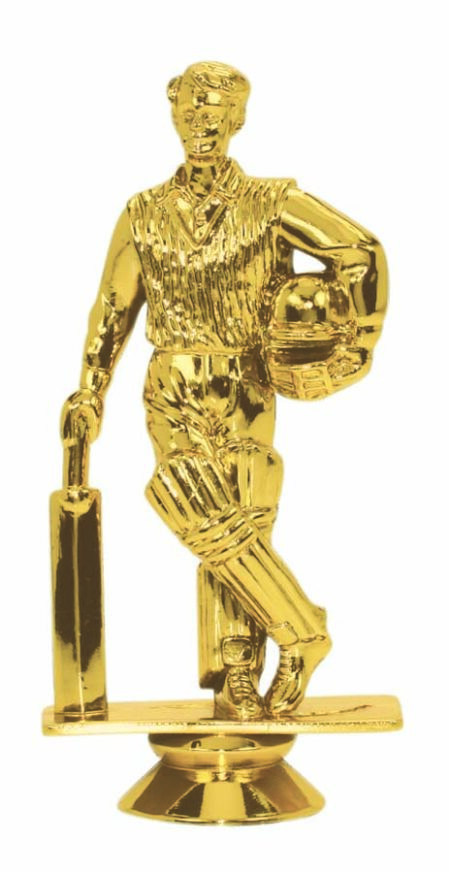 CRICKET - BATSMAN STANDING