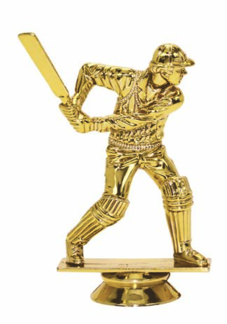 CRICKET - BATSMAN