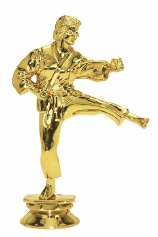 KARATE - FEMALE