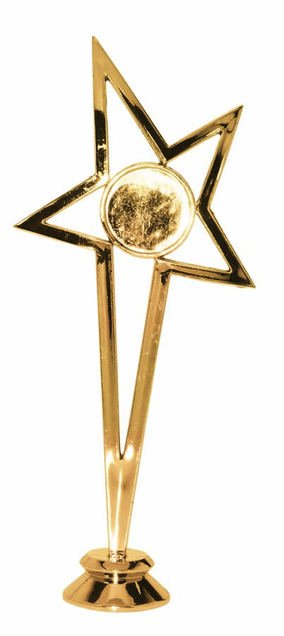 STAR - 25mm Insert