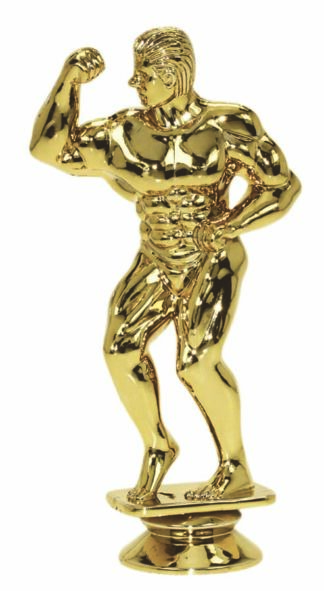 BODY BUILDER - MALE