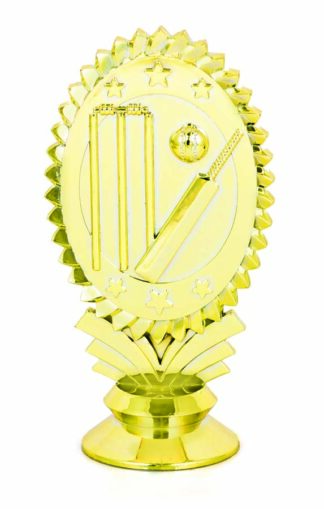 CRICKET - OVAL THEME