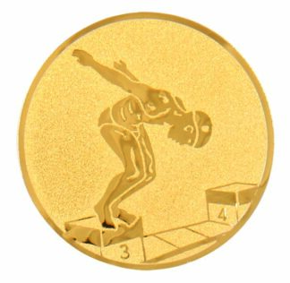 ALUMINIUM MALE SWIMMING - 1"/25mm Insert