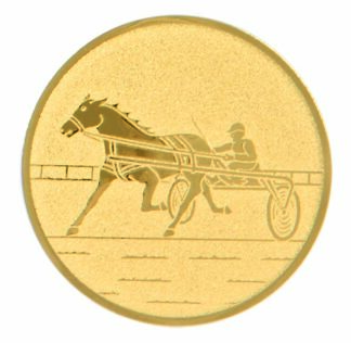 ALUMINIUM TROTTING - 2"/50mm Insert