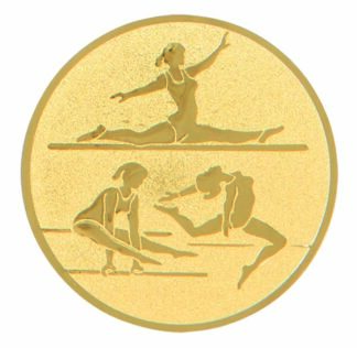 ALUMINIUM FEMALE GYMNASTICS 1"/25mm Insert