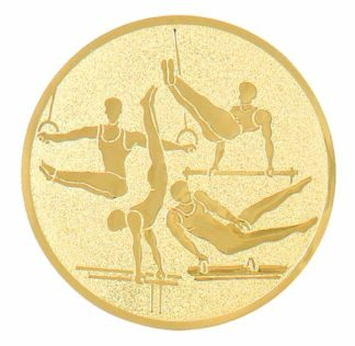 ALUMINIUM MALE GYMNASTICS - 2"/50mm Insert