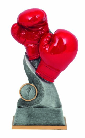 BOXING - GLOVES - 25mm Insert