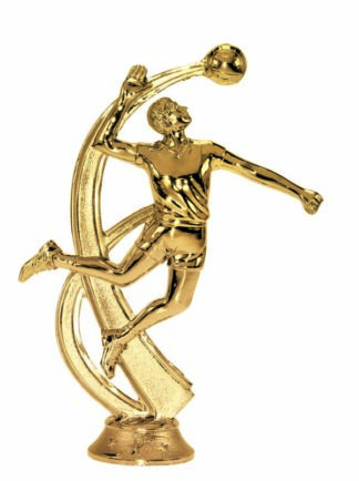VOLLEYBALL - MALE