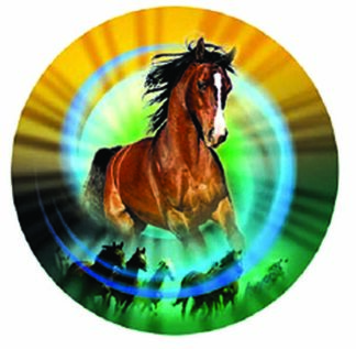 MYLAR HOLOGRAPHIC 2"/50mm HORSE Insert