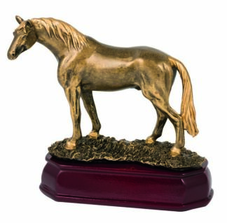 HORSE - STANDING