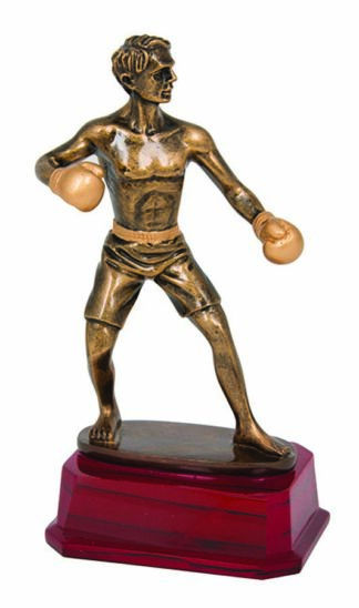 BOXING - KICK