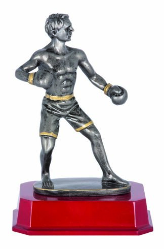 BOXING - KICK