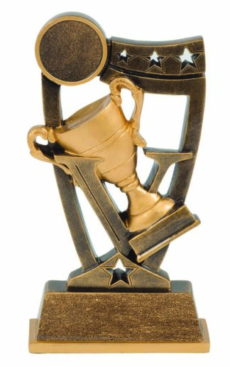 VICTORY SPIRIT SERIES - ACHIEVEMENT - 25mm Insert