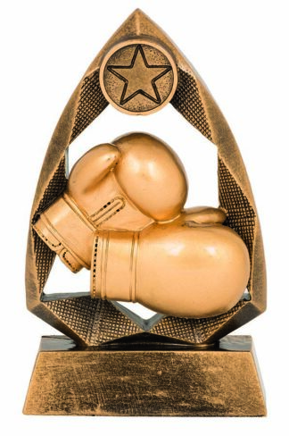 JEWEL SERIES - BOXING - 25mm Insert