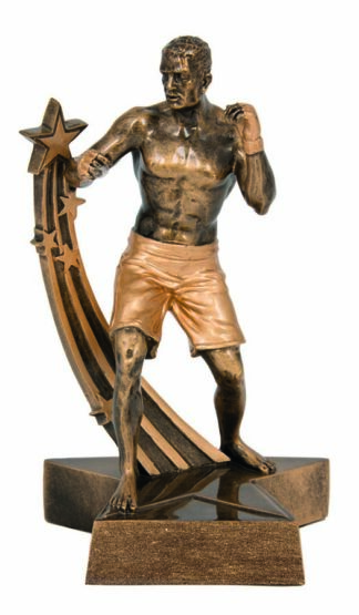 MARTIAL ARTS - MMA - 25mm Insert
