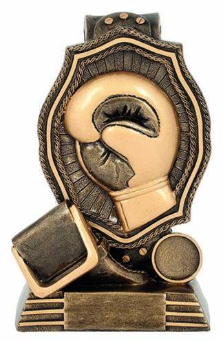 BOXING - BELT - 25mm Insert