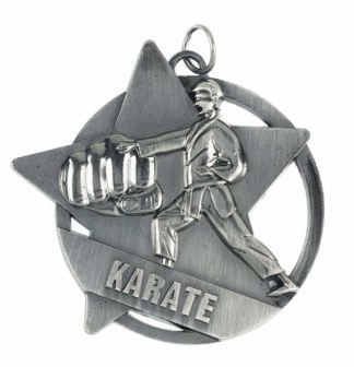 BRISTOL SERIES MEDALS - MARTIAL ARTS