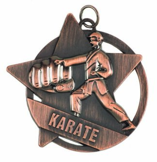BRISTOL SERIES MEDALS - MARTIAL ARTS