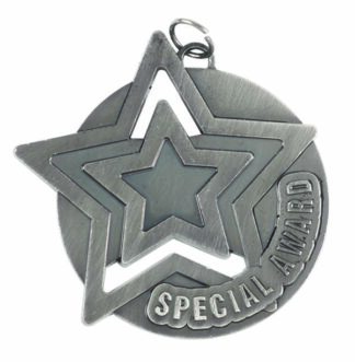 BRISTOL SERIES MEDALS - SPECIAL AWARD