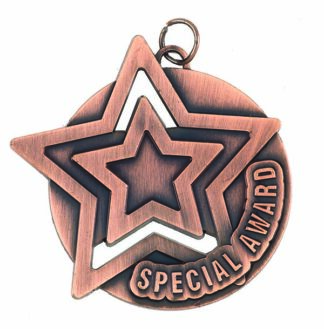 BRISTOL SERIES MEDALS - SPECIAL AWARD