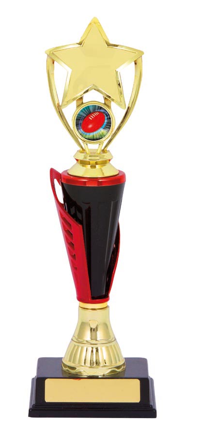 AUSTRALIAN RULES SPORT TROPHY - 25mm Insert