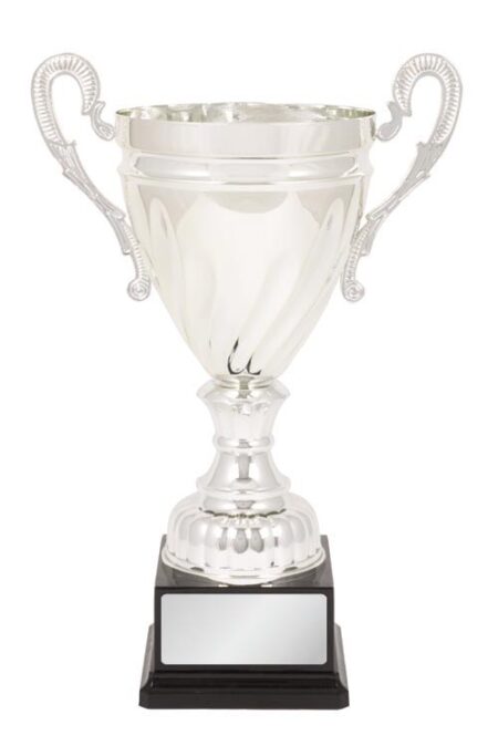 METAL CUP TROPHY