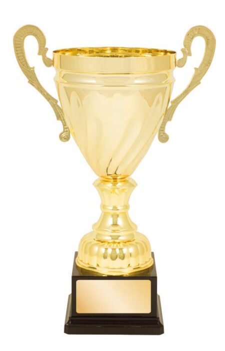 METAL CUP TROPHY