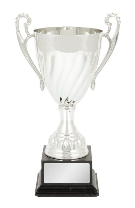 METAL CUP TROPHY