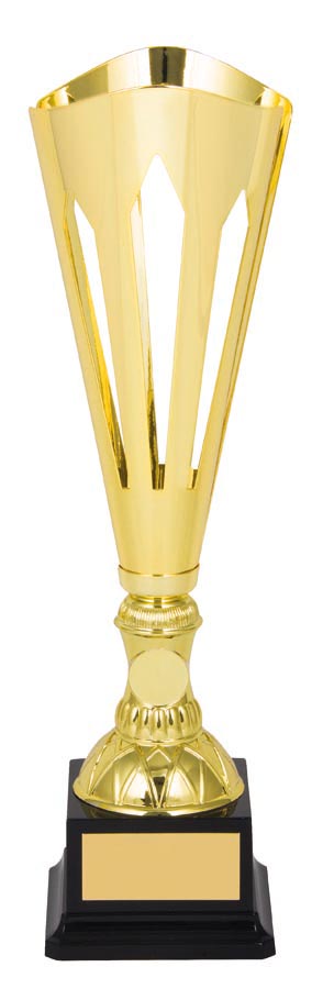 METAL CUP TROPHY - 25mm Insert