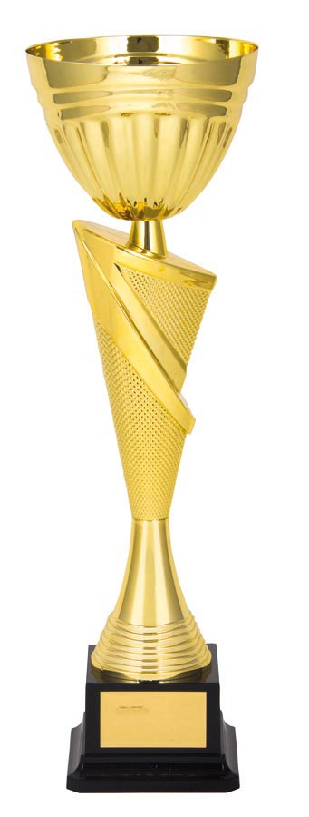 METAL BOWL TROPHY