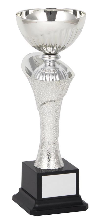 METAL BOWL TROPHY