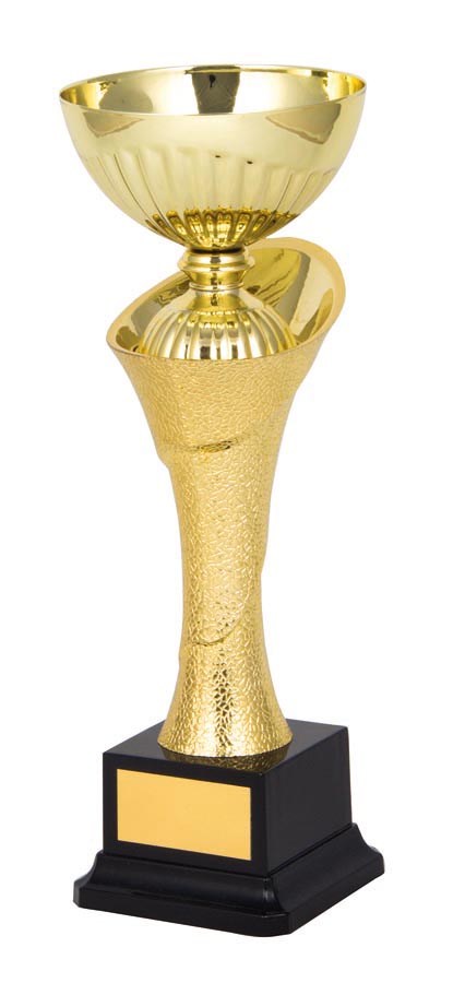 METAL BOWL TROPHY