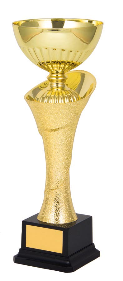 METAL BOWL TROPHY