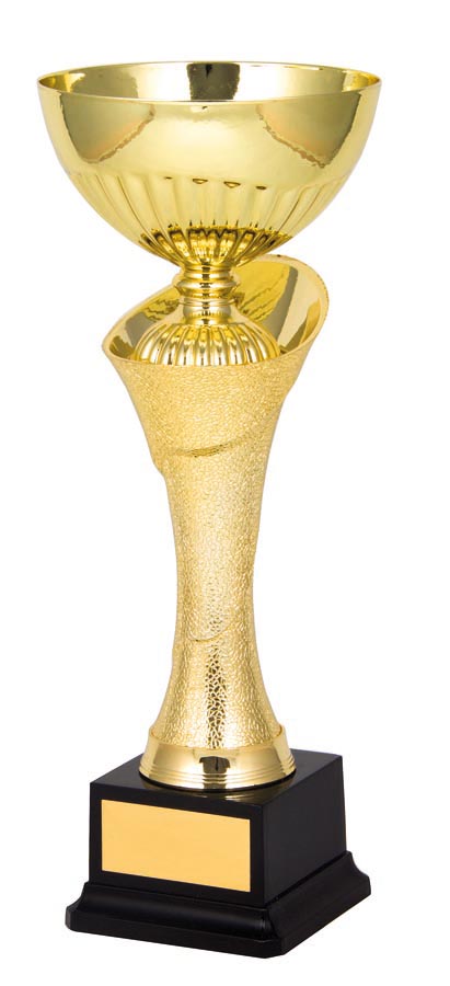 METAL BOWL TROPHY