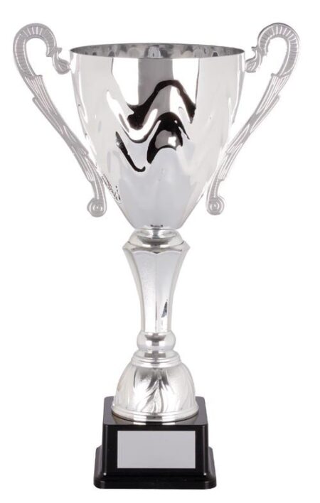 METAL CUP TROPHY