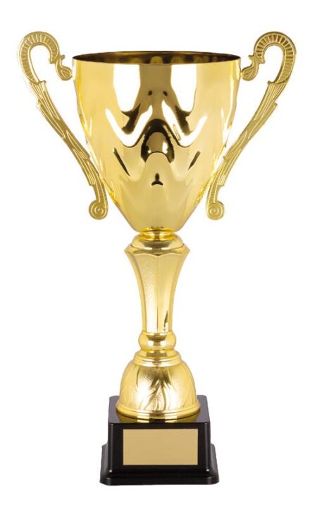 METAL CUP TROPHY