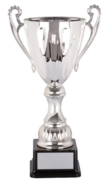 METAL CUP TROPHY