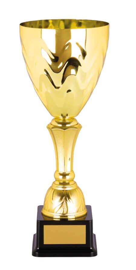 METAL CUP TROPHY