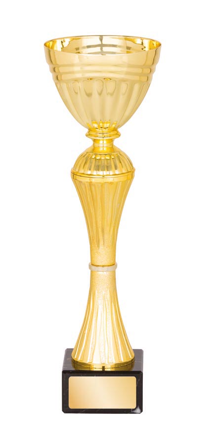 METAL BOWL TROPHY
