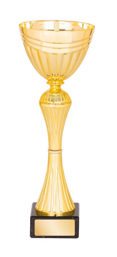 METAL BOWL TROPHY