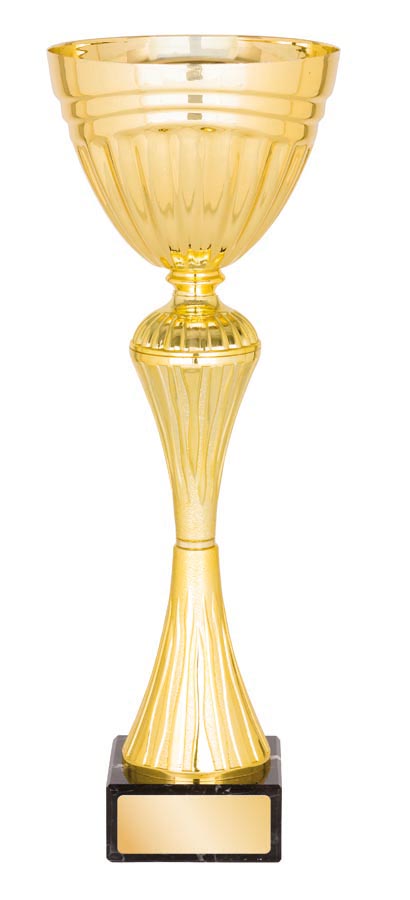 METAL BOWL TROPHY