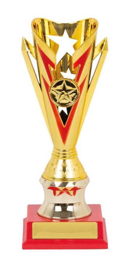 FOOTBALL SPORT TROPHY - 25mm Insert