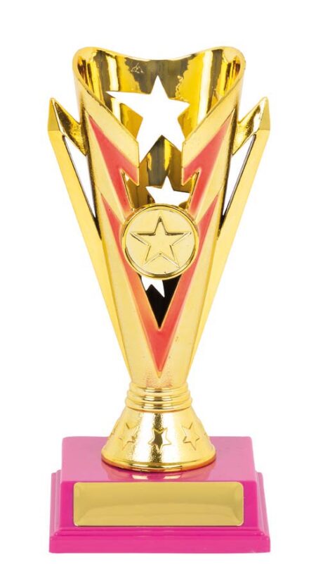 FOOTBALL SPORT TROPHY - 25mm Insert