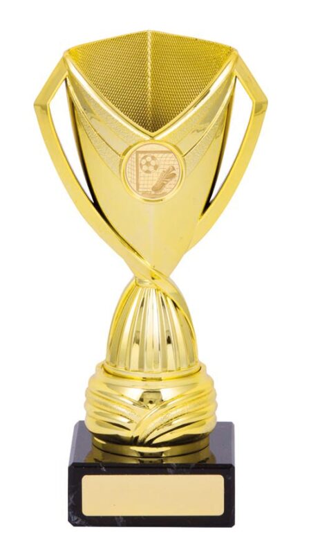 FOOTBALL CUP TROPHY - 25mm Insert
