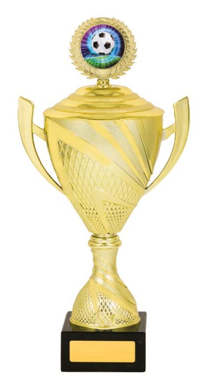 FOOTBALL CUP TROPHY - 50mm Insert